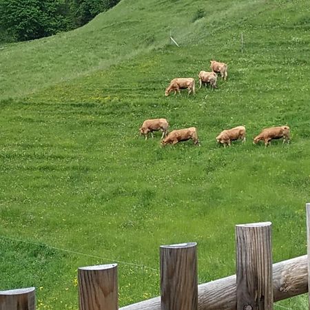 Albergo Diffuso Sauris In Sauris Di Sotto Exteriör bild